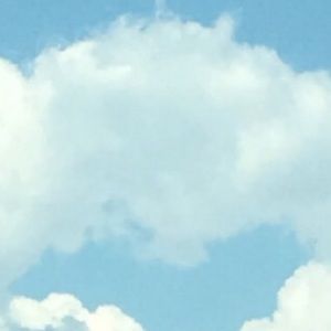 Meet your Posher, Claire